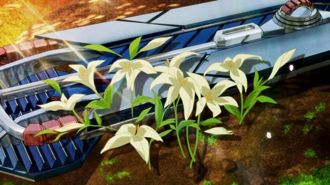 from Momentary Lily EP3